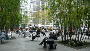 Urban landscape with shade trees and lots of casual seating with people sitting. Going beyond minimum standards.