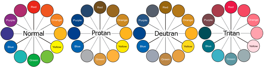 Four circular charts showing how people with colour deficiency see different colours on the colour wheel