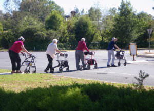 Four older women using wheelie walkers are crossing the road in single file. Accessible transport measuring tool.