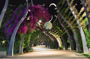 A large arched walkway at night with purple bougainvillea flowers overhead. The pathway is well lit but has the line shadows of the arches across it.