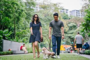 A young woman and man are walking their dog in an urban park.