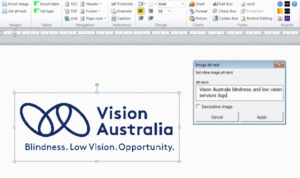 A screenshot of the Vision Australia screen and logo.
