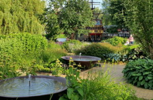 A garden with water features and lots of plantings around a curving footway. In the background a woman is being pushed in a wheelchair.