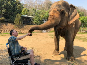 Martin Heng sits in a chair and there is an elephant closeby. He fist-bumps the elephant's trunk. ant using its trunk.
