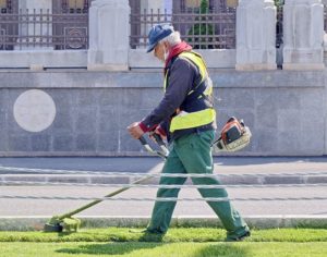 A man with grey hair is walking on grass and using a powered grass whipper snipper.