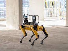 Spot the Robot dog has four yellow articulated legs stands on a bare concrete floor in a half finished building.