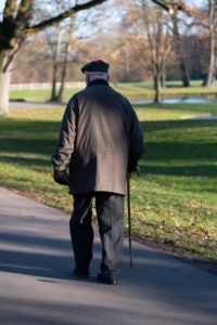 An older man with a walking cane walks along a path in a park. He is by himself. Go-along-walking research.