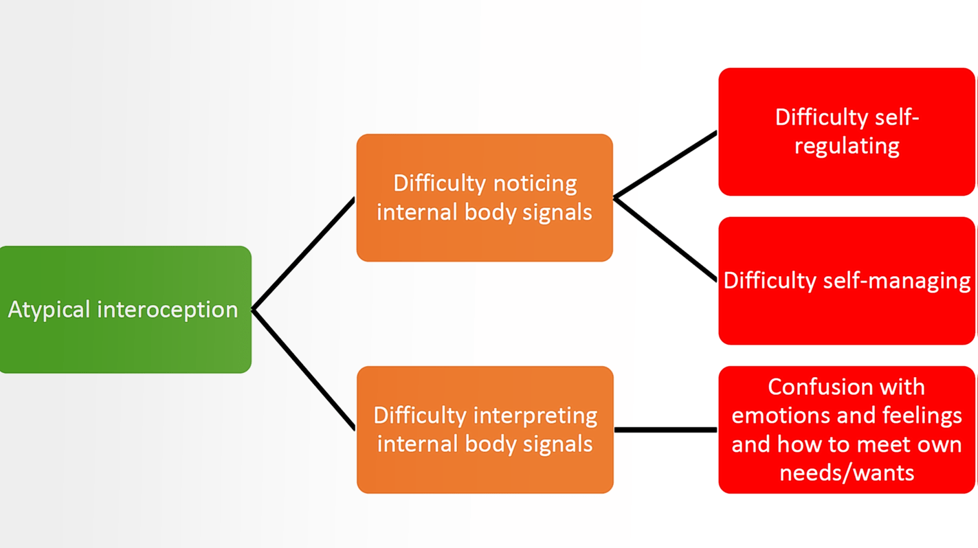 One of the slides showing atypical interoception and difficulty noticing body signals, and difficulty interpreting them.