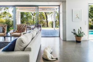 A white labrador dog sleeps in the foreground and in the background the door is open showing level access to the alfresco.