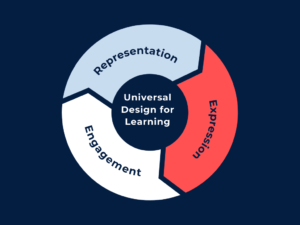 Three principles of UDL - expression, representation, engagement.