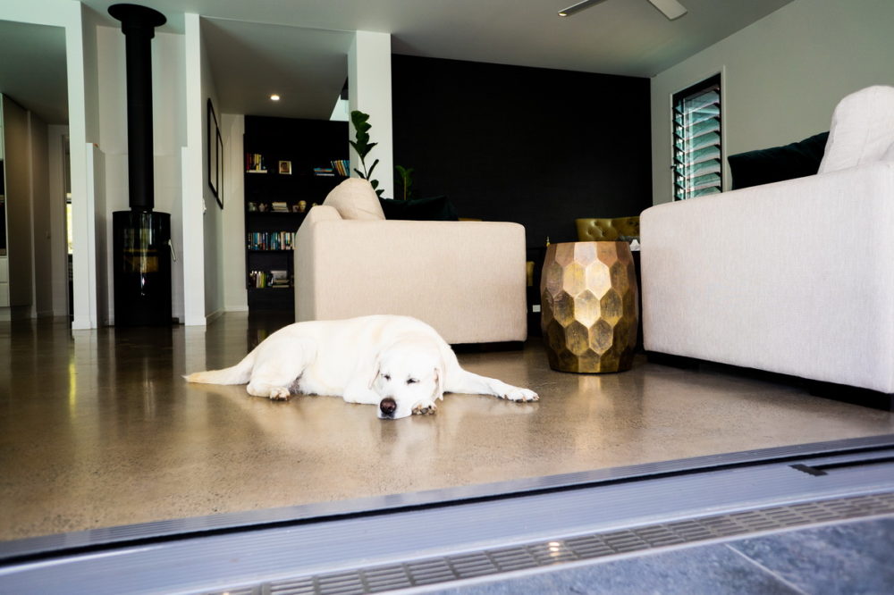 A white Labrador dog lays at the opening to the level access alfresco.