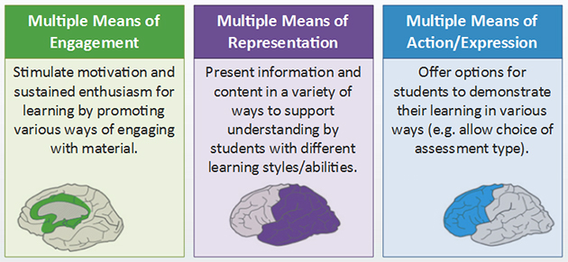 The three pillars of UDL graphic. Multiple means of Engagement, Representation, and Expression.