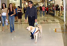 A blind man and his guide dog walk through a shopping mall. Inclusive imagery.