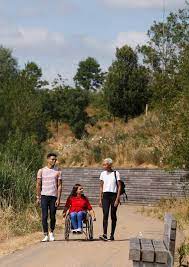 Two people walk either side of a woman using a wheelchair. They are on a wide path in a parkland area. Inclusive Design Standards front cover. 