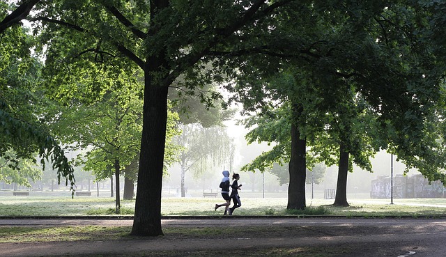 Two figures are jogging on a path through the trees in open park.